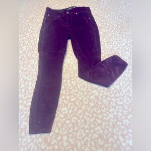 Purple Torrid Corduroy bombshell skinny pants